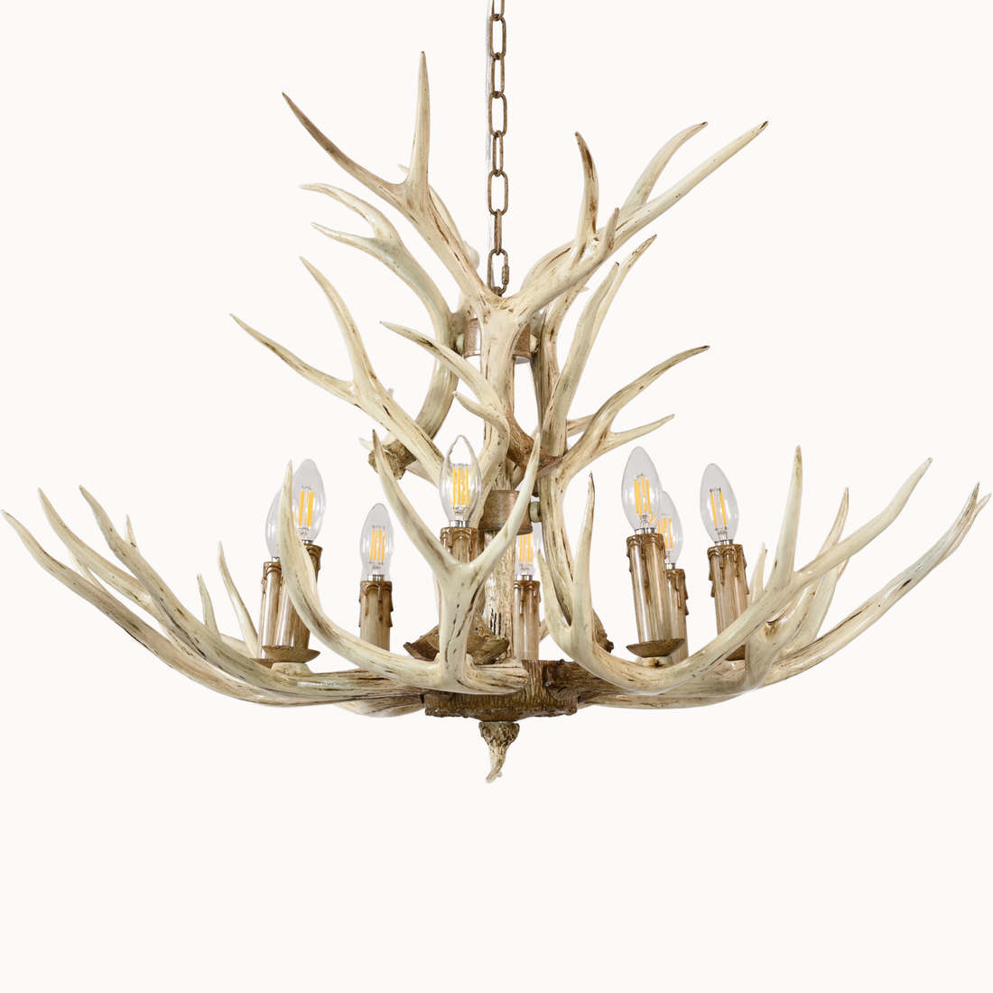 Natural Deer Antler 8 Light Chandelier 36''