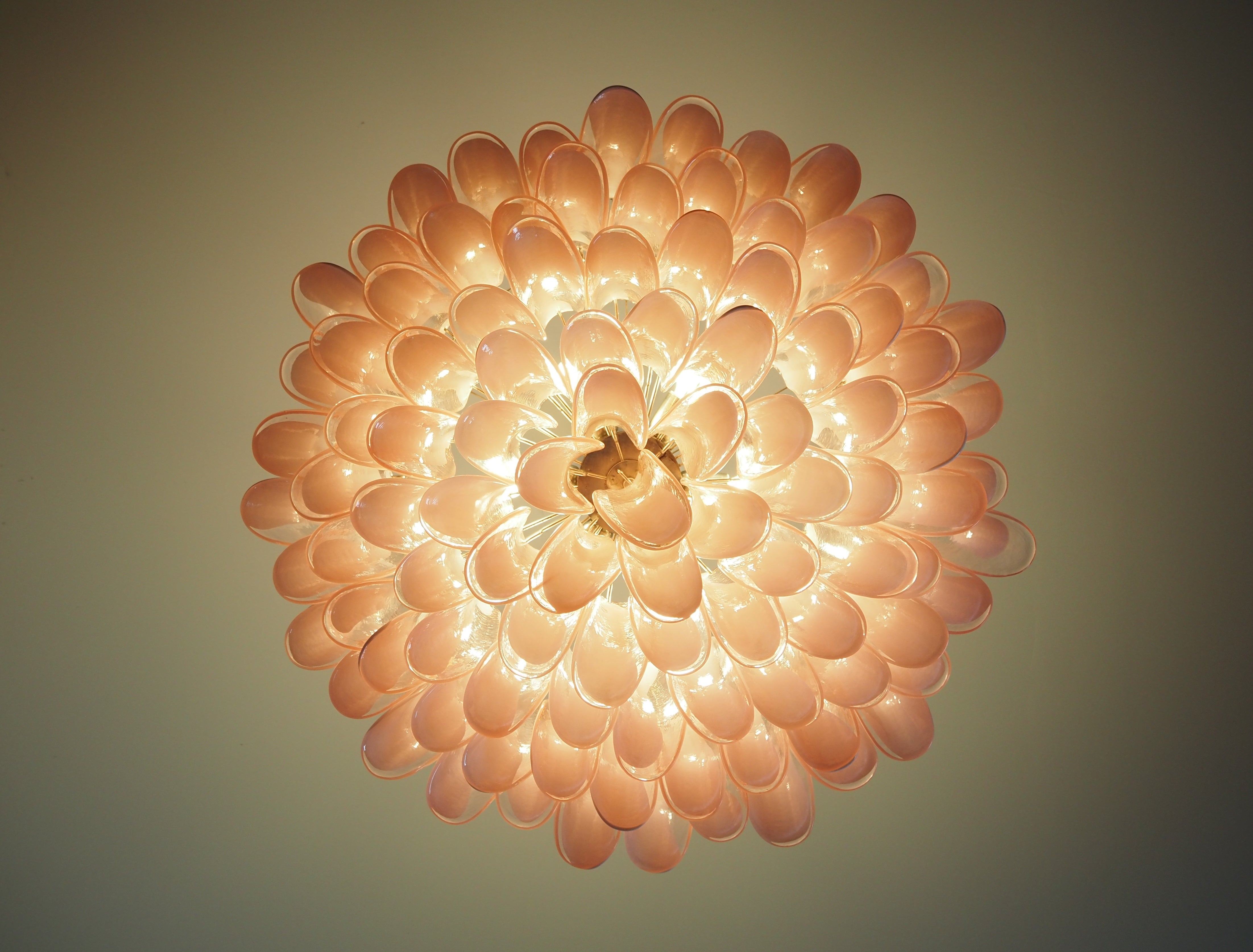 Murano Chandelier 101 Pink Petal Glass