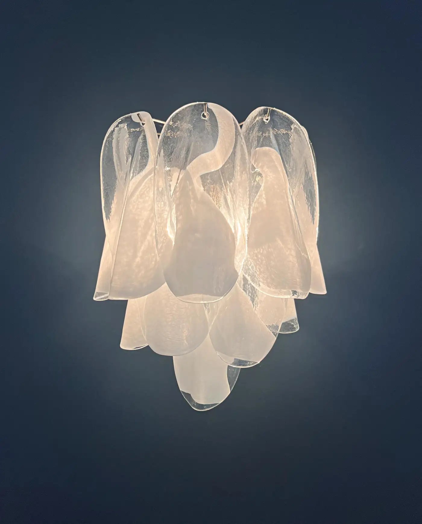 Pair of Vintage Italian Murano wall lights -20 "rondini" glass  1