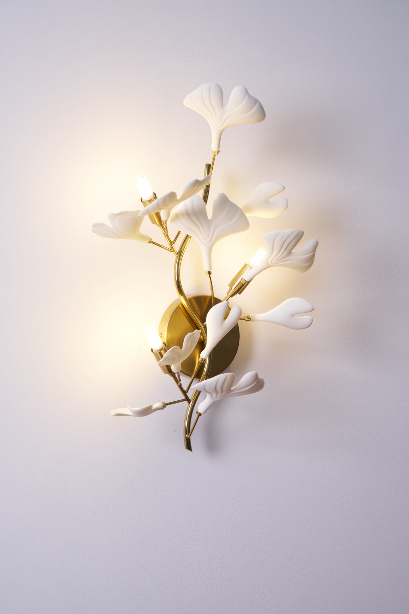 Gingko Wall Lamp